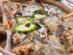 -顺德职业技术大学