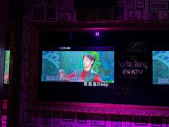 -温莎KTV(珠江路店)