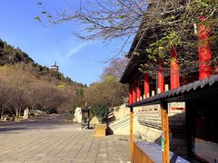 -青檀寺景区