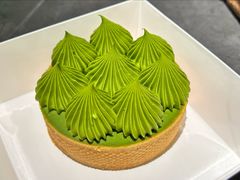抹茶挞-猫里有甜