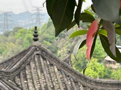 -巴倒烫陆派火锅山庄(南山总店)