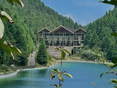 -武陵山森林公园