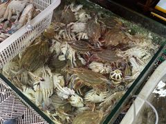 -芦潮港集贸市场