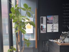 -MEDISN·药厂
