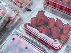-南门绿玉农贸市场