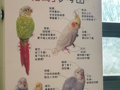 -南宫五洲植物乐园