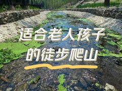 -白水寺森林公园