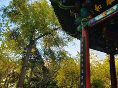 -西宁市人民公园(城西区)