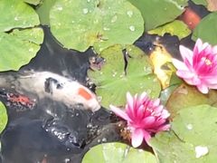 -呼兰河口湿地公园