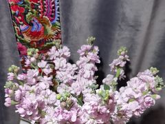 -都氏家DUSJOY(翡翠城店)