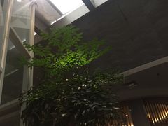 -王家渡火锅店(棕榈泉店)