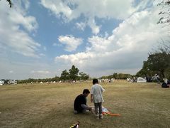 -苏州太湖国家湿地公园