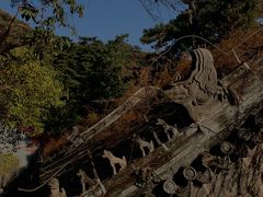 -潭柘寺景区