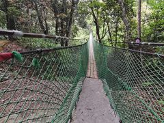 -云南屏边大围山国家公园