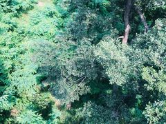 -青岛中山公园-索道售票处