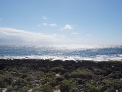 -龙坑生态保护区