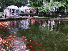 -温江公园