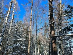 -峡谷浮石林景区