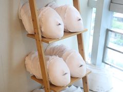 -FACE·日本小颜美容整骨(福田店)