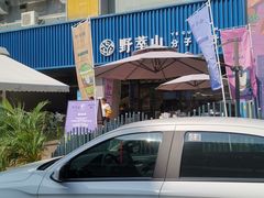 -野萃山·潮汕厚果汁(十亩地店)