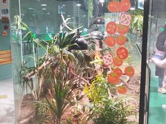 -上海大自然野生昆虫馆(东方明珠·爬宠昆虫探索中心)