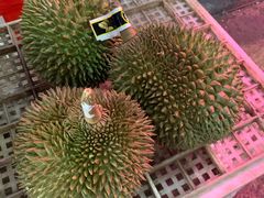 -海吉星国际农产品物流管理有限公司