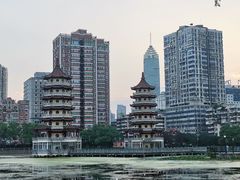 -宝岛公园