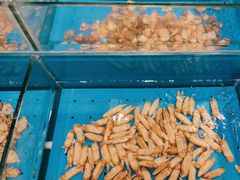 -“香”全日餐厅·株洲大汉希尔顿酒店