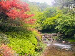 -杭州半山国家森林公园