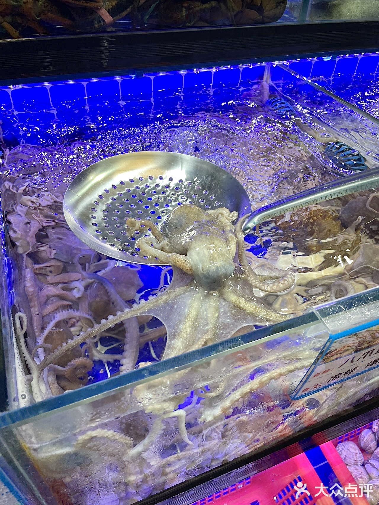 李三海鲜馆，美味海鲜in活泼水产