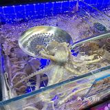 李三海鲜馆，美味海鲜in活泼水产