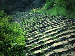 -仙霞关景区
