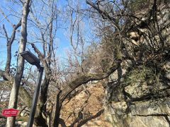 -宝岩生态观光园