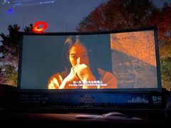 -枫花园汽车电影院(朝阳公园店)