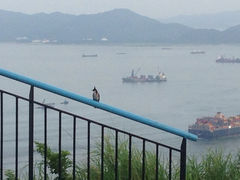 iphone_upload_pic-YHA赛马会摩星岭青年旅舍(香港岛)