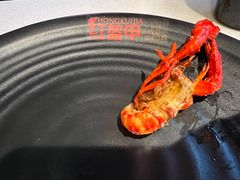 -红盔甲·小龙虾(天钥桥店)