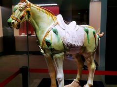 -珠海市博物馆