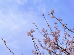 -幕燕滨江·燕子矶公园