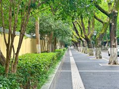 -颐和路民国时期公馆风貌区