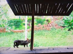 -西双版纳基诺山寨