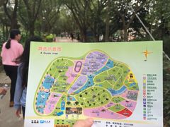 -广东茂名森林公园