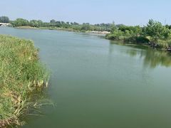 -马家湾湿地公园