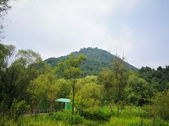 -西湖风景区-江洋畈生态公园