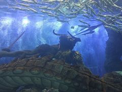 -波塞冬海底世界