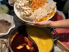 -澳美徕·港式花胶鸡火锅(高新万达店)