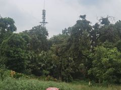 -张坝桂圆林公园