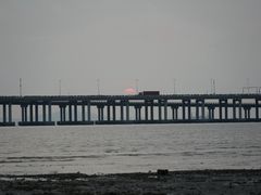 -宝安西湾红树林湿地公园