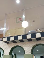 -宝燕乐园(春申店)