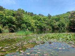 -天目湖山水园