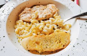 Fresh Milk Cheese Penne